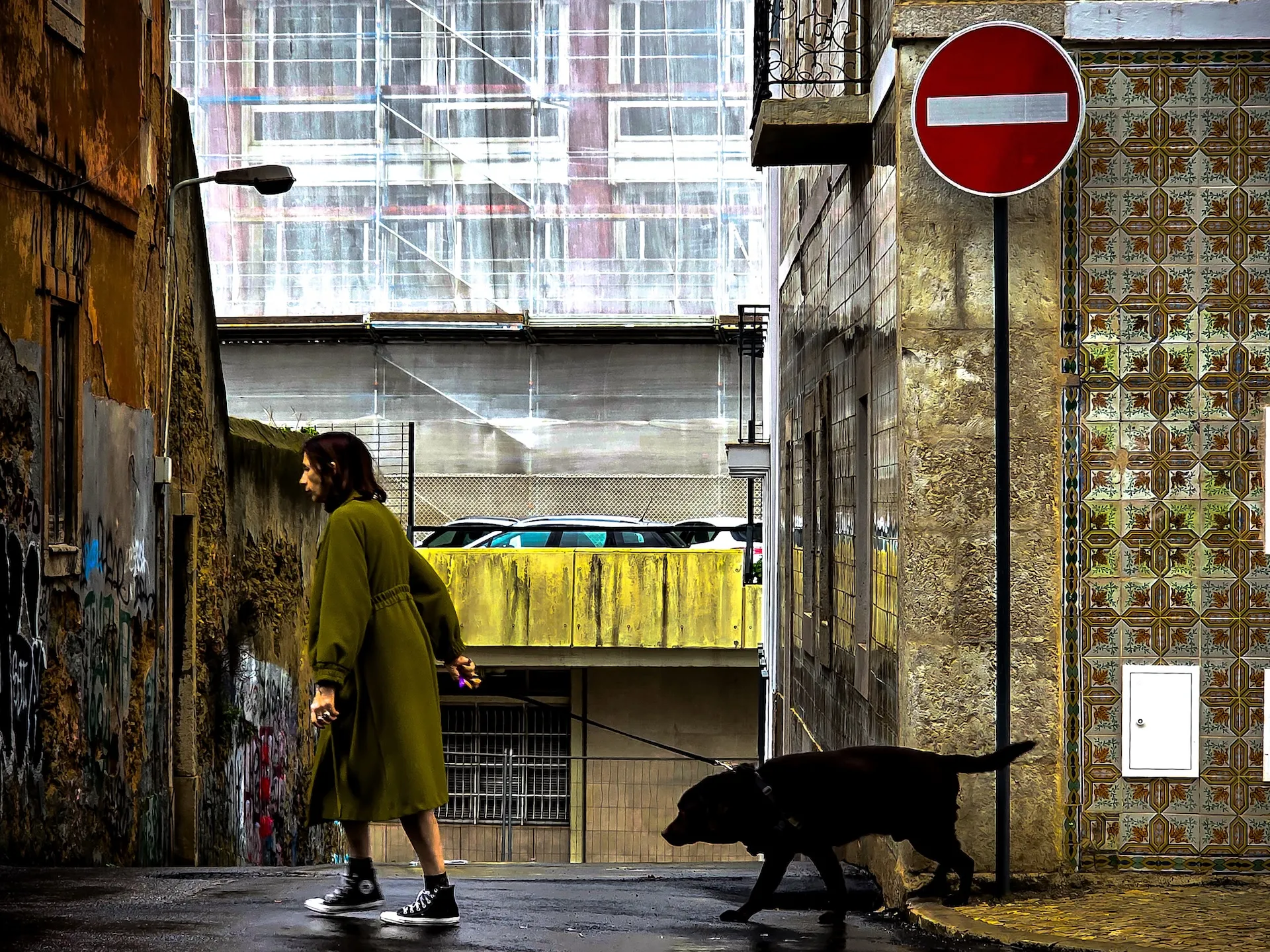 walking-dog